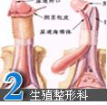 生殖整形科